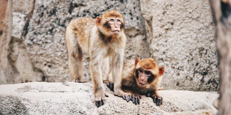 Zoo in Barcelona