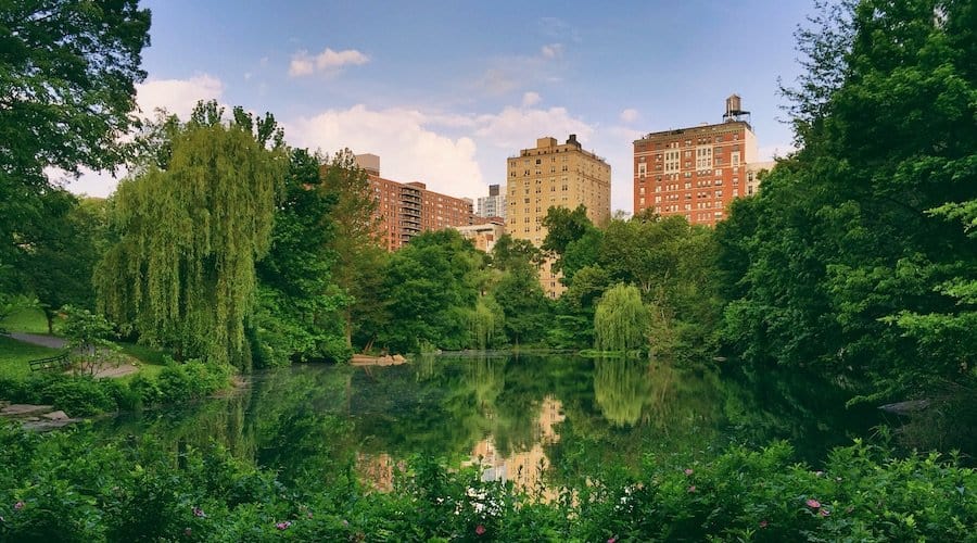 Central Park in New York