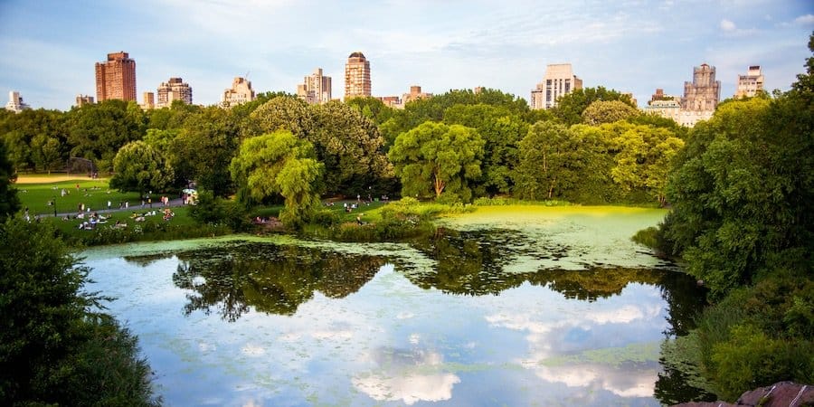 Central Park in New York